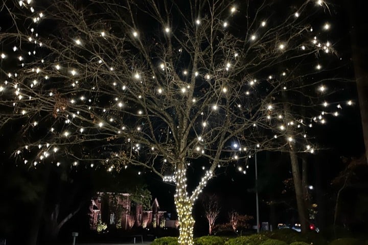 Christmas Lighting Service Near Me in Pinehurst NC 29