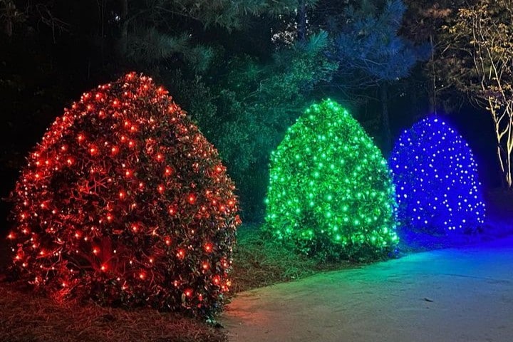 Christmas Lighting Service Near Me in Pinehurst NC 6