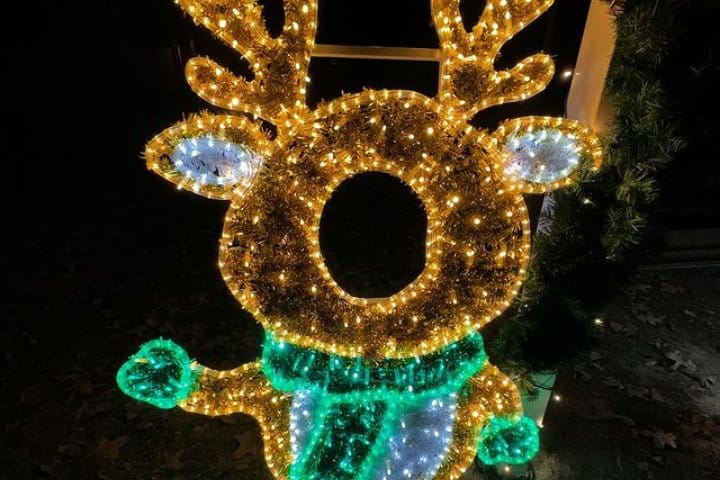Christmas Lighting Service Near Me in Pinehurst NC 8