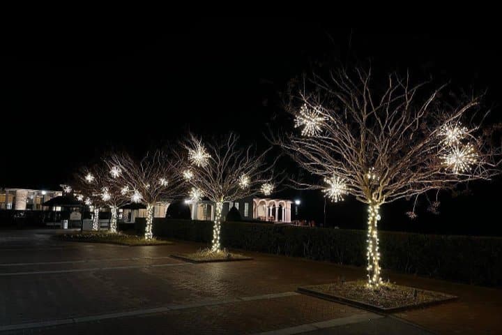 Commercial Holiday Lighting Service Near Me in Pinehurst NC 24